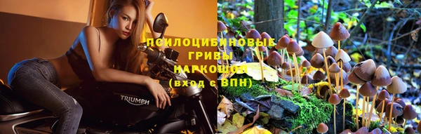 гидра Армянск