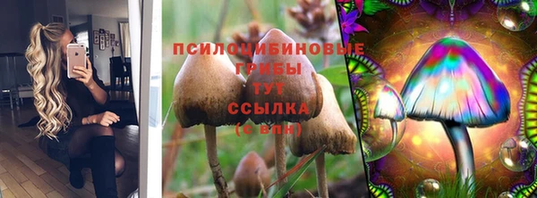 ешки Алексеевка